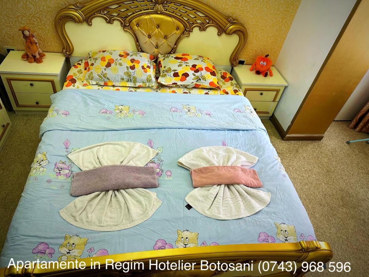 Apartament De Lux Zona 0 Botosani 2 Camere Zewnętrze zdjęcie